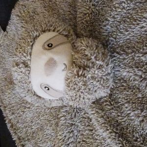 Cater's Lovey Sloth Baby Security Blanket